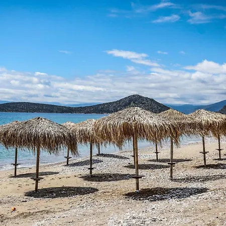 Plaka 16 - Drepano, Peloponnesus, Greece * Drépano